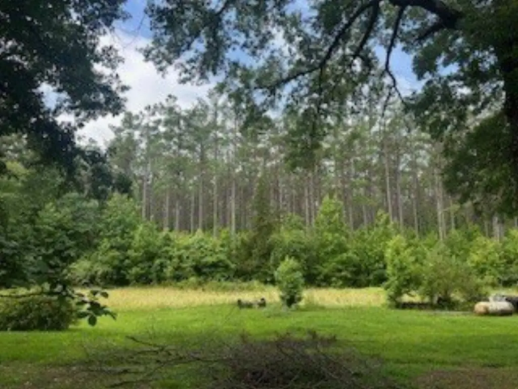Picture 30