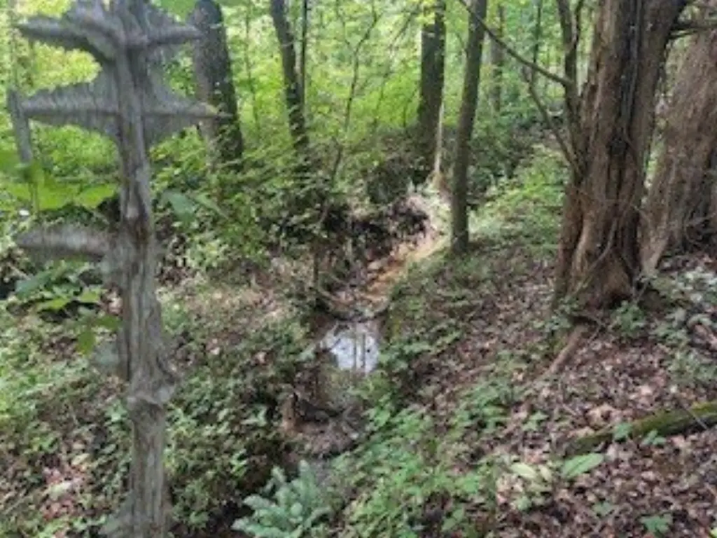 Picture 18
