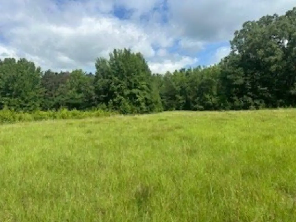 Picture 27