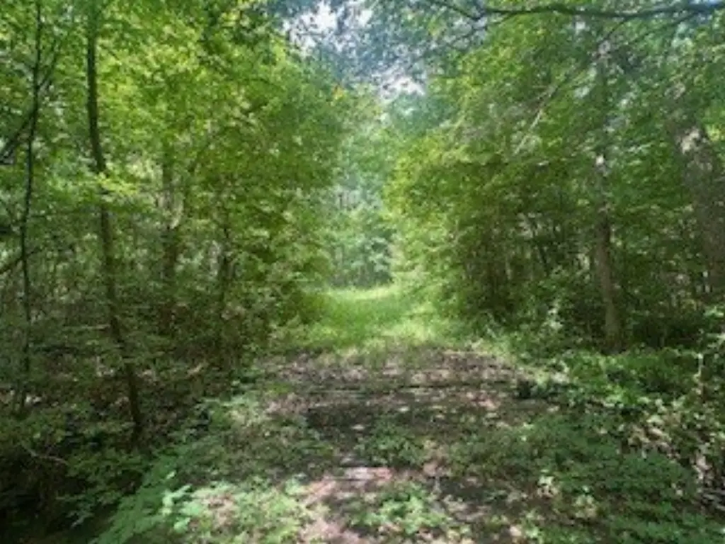 Picture 17