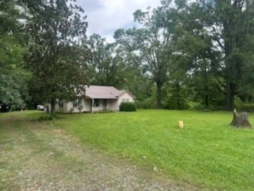 Picture 12
