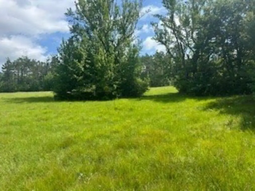 Picture 28