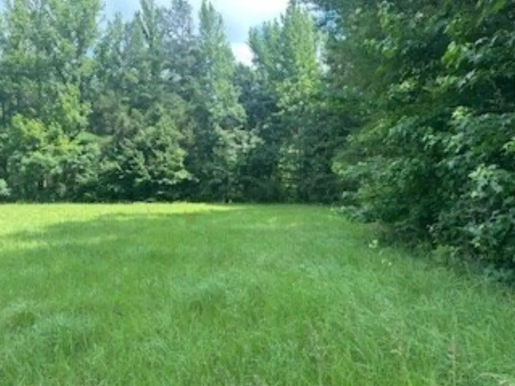 Picture 23