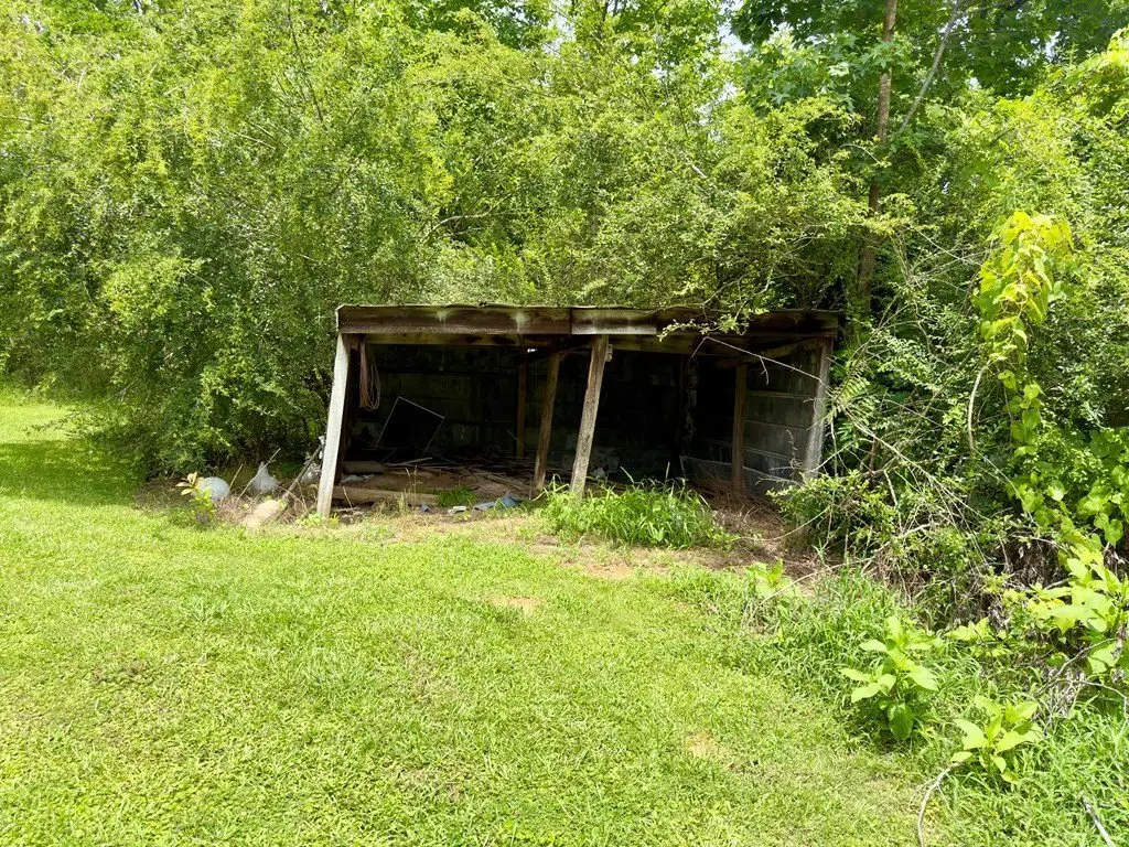 Picture 16