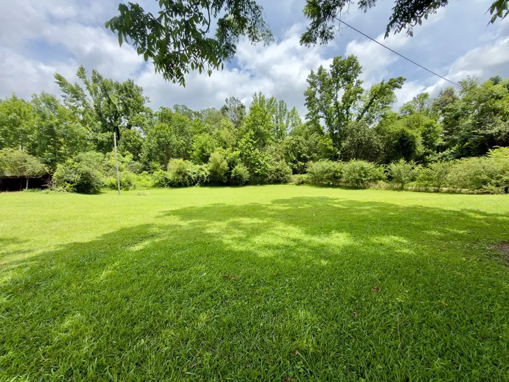 Picture 19
