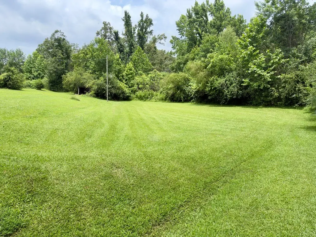 Picture 11
