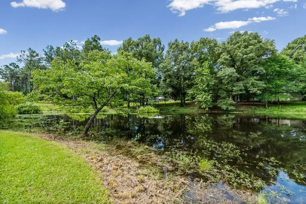 Picture 20