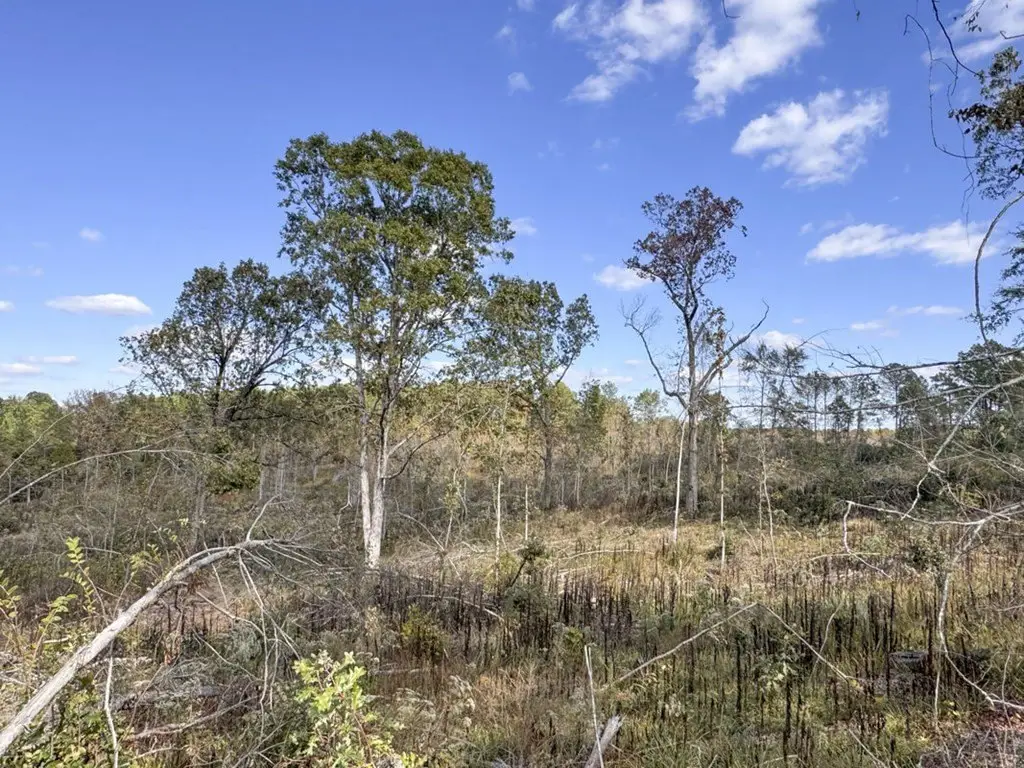 Picture 48
