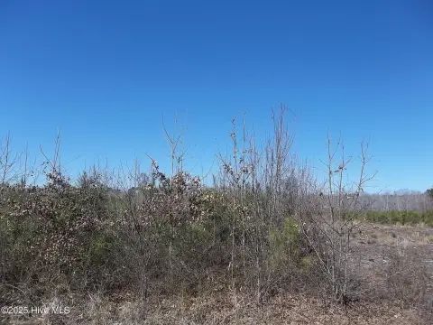 One Acre Lot in New Hope