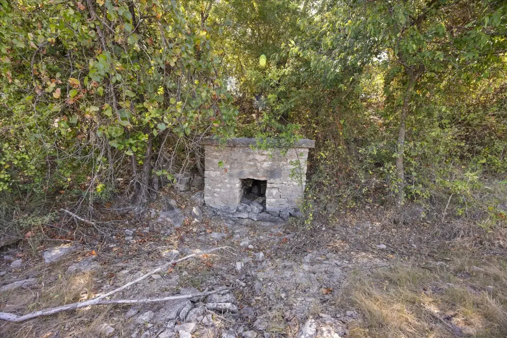 Picture 13