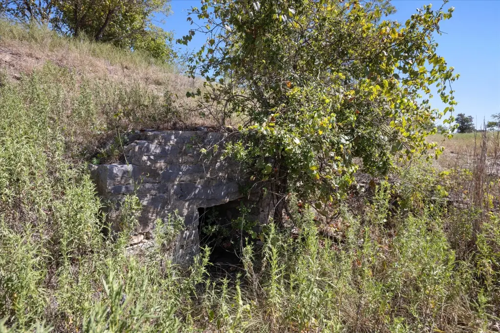 Picture 4