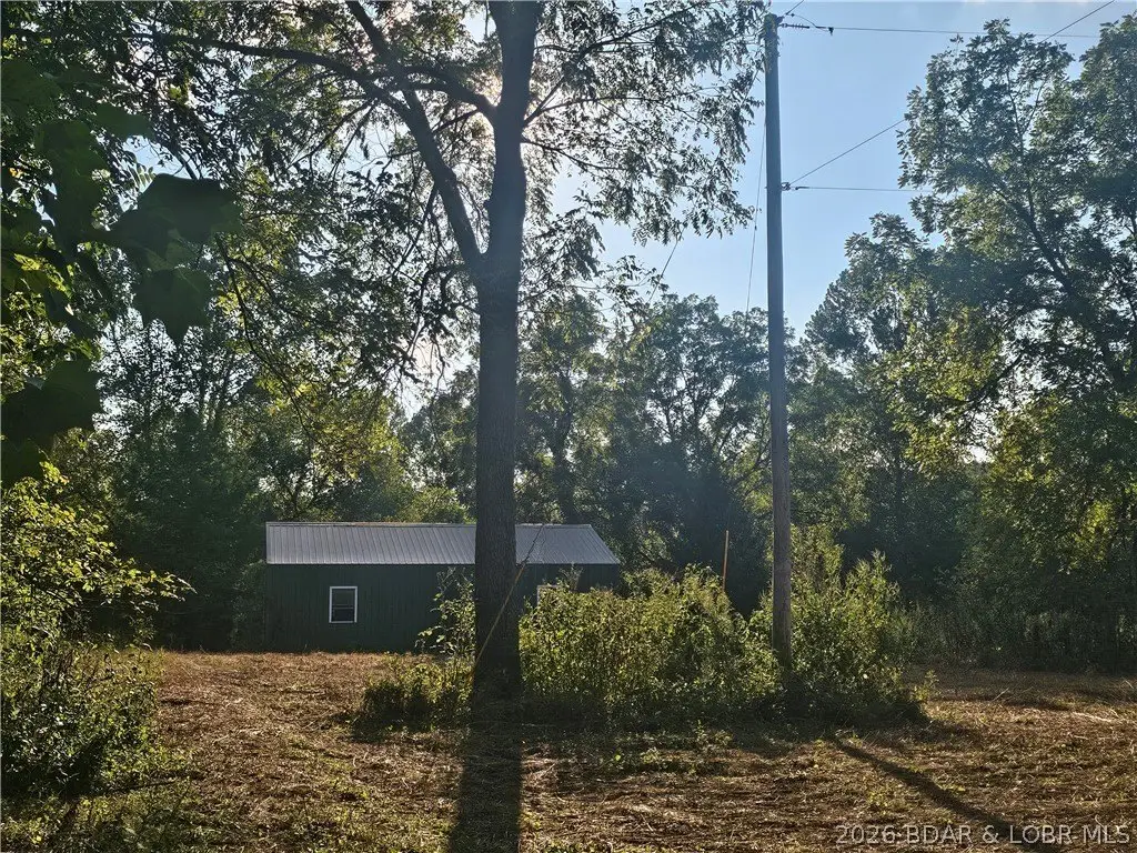 Picture 15