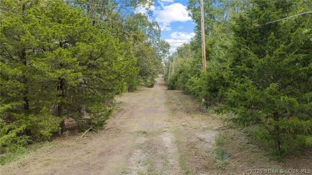 Picture 43