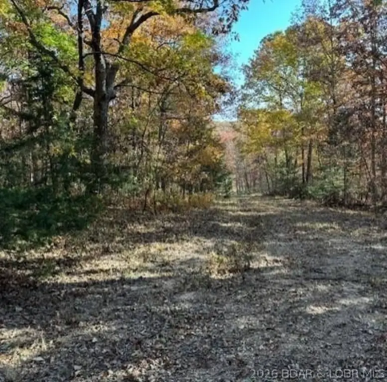 Picture 5