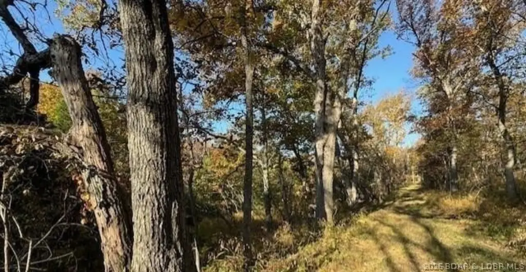 Picture 21