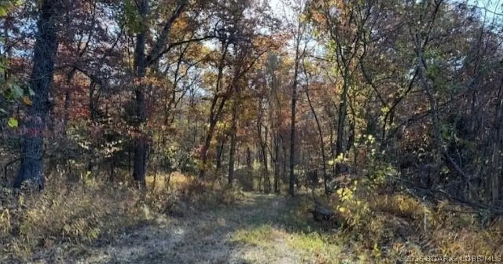 Picture 4