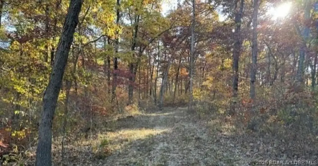Picture 14