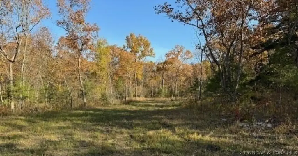 Picture 3