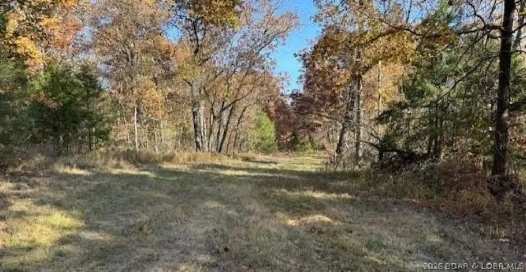 Picture 16