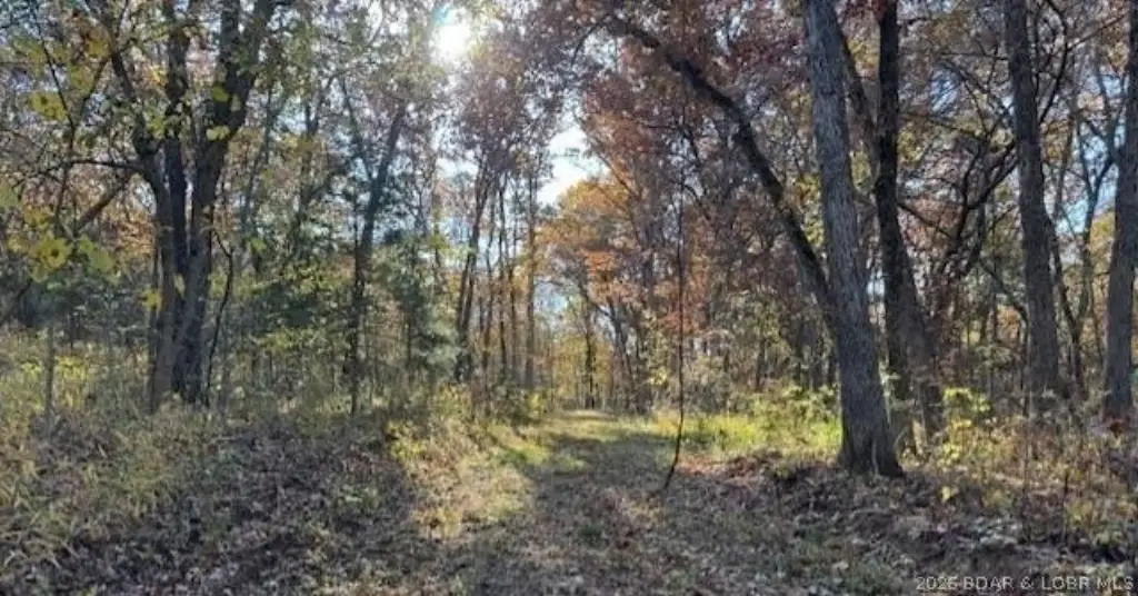 Picture 10