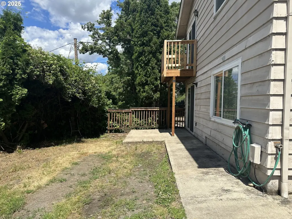 Picture 23