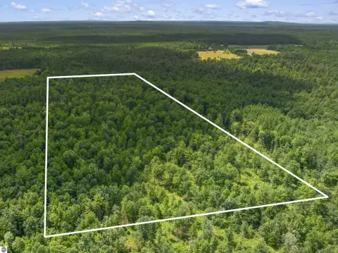 Wooded Hunting Land Parcel
