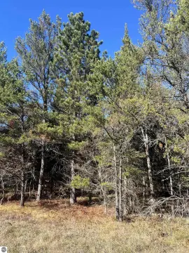 Recreation Subdivision Lot