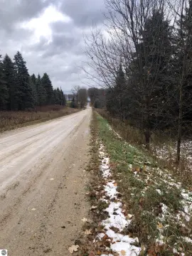 Wooded Residential Land Parcel