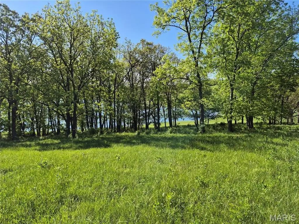 Picture 27