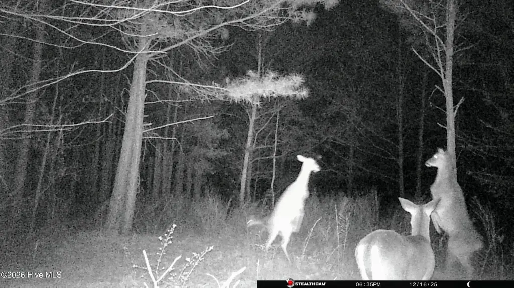 Picture 25