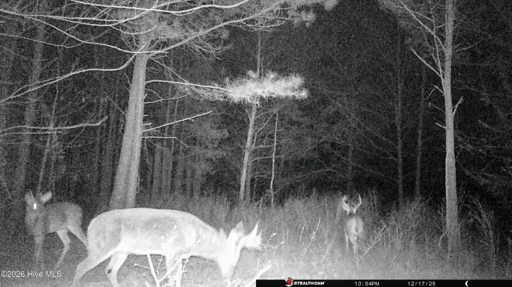 Picture 24