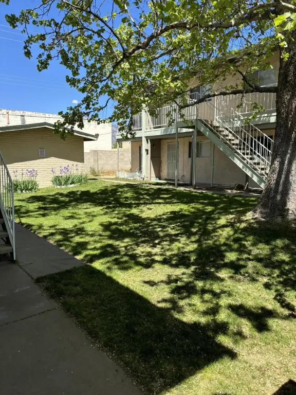 Picture 25