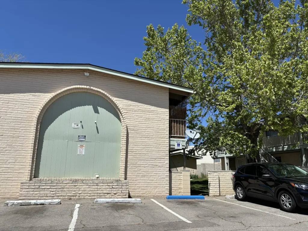 Picture 26