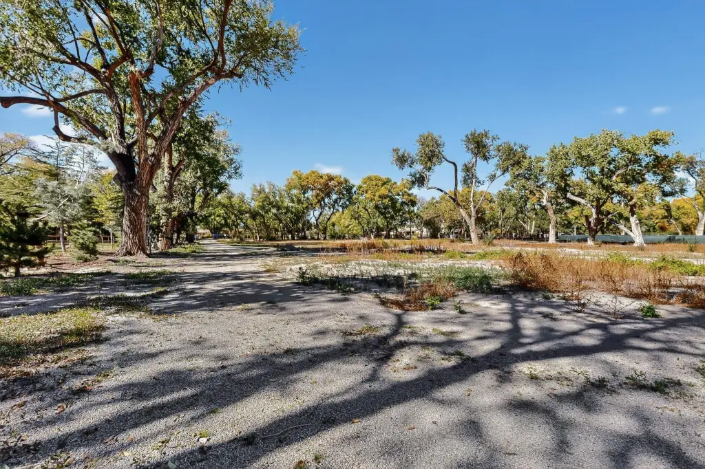 Picture 4