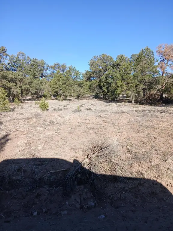 Picture 14