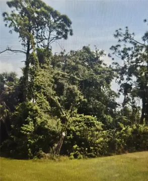 Residential Lot in Gulf Cove