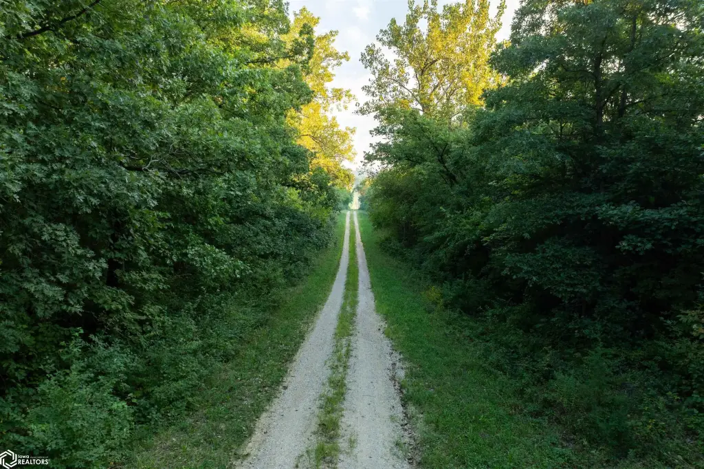 Picture 49