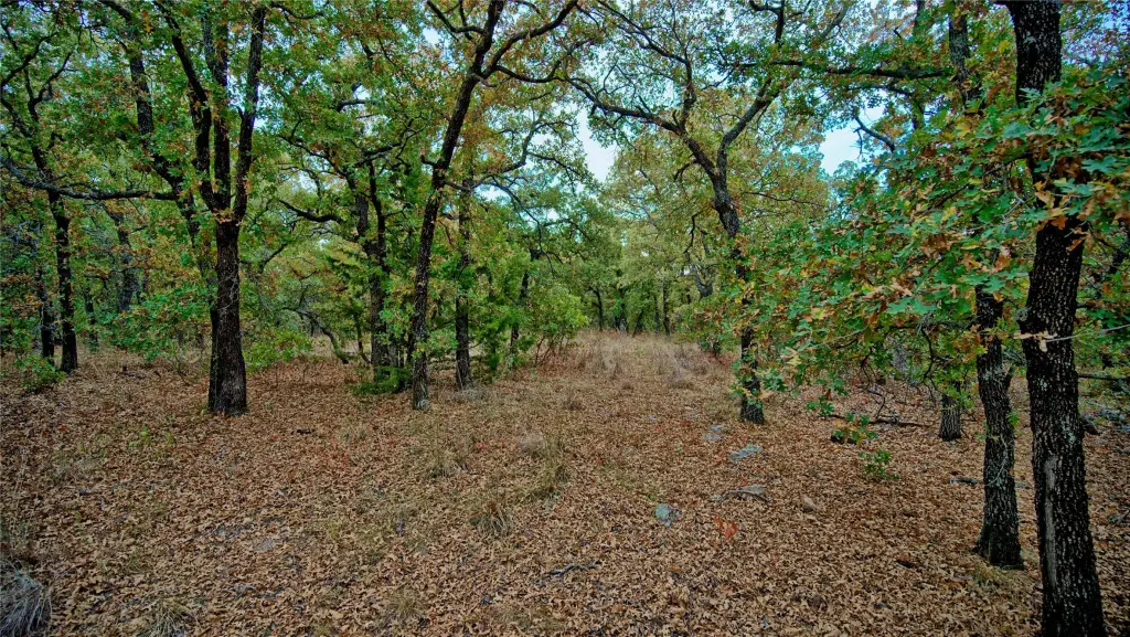 Picture 3