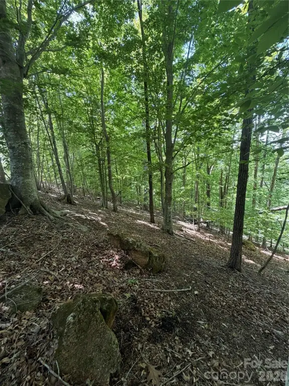 Picture 20