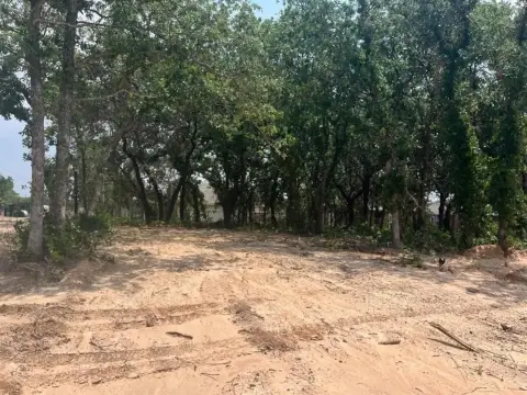 Tolar, TX Treed Land Lot