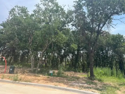 Tolar, TX Treed Land Lot