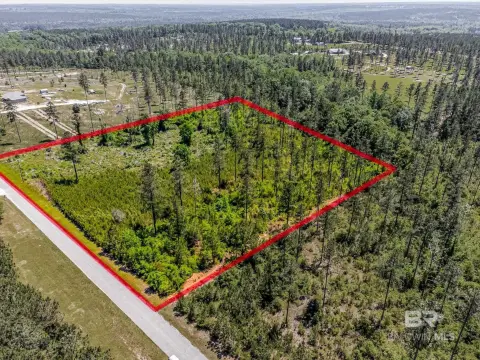 Wooded Acreage Ready for Development