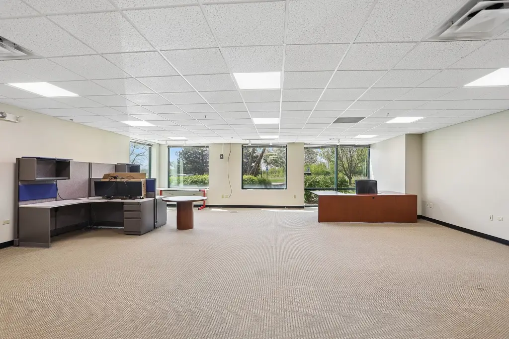 Picture 7