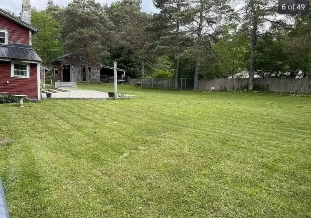 Picture 4