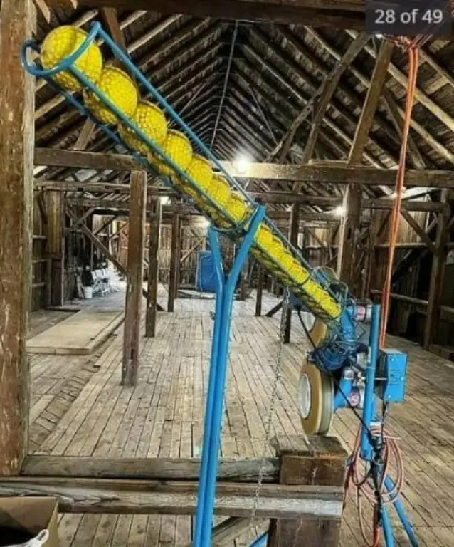 Picture 12