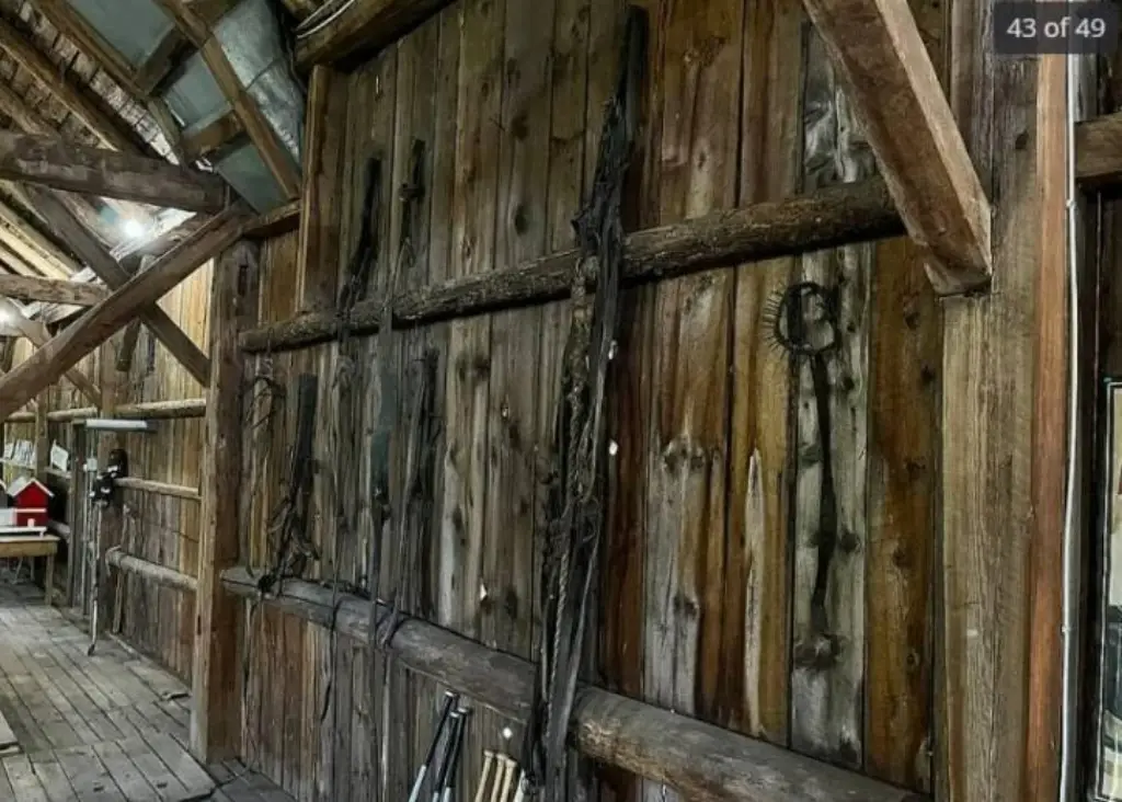 Picture 16
