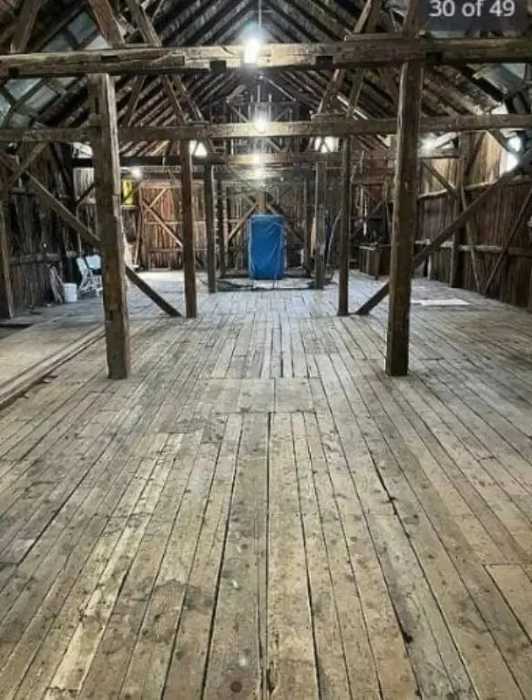 Picture 10