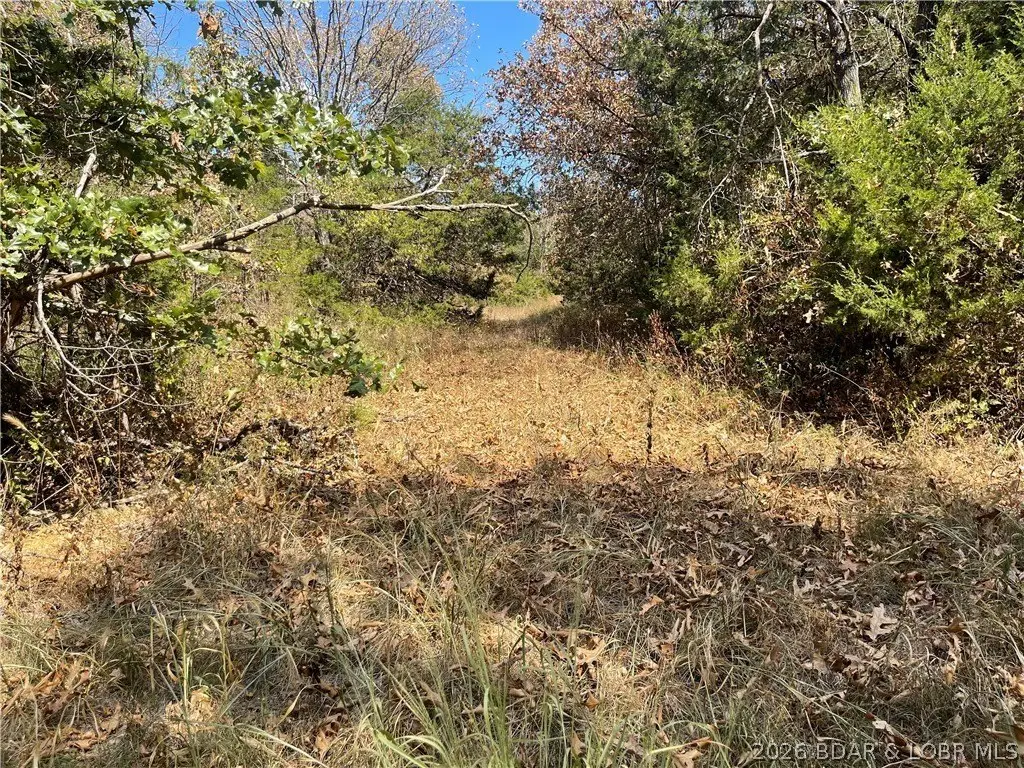 Picture 5