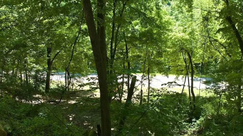 Picture 5