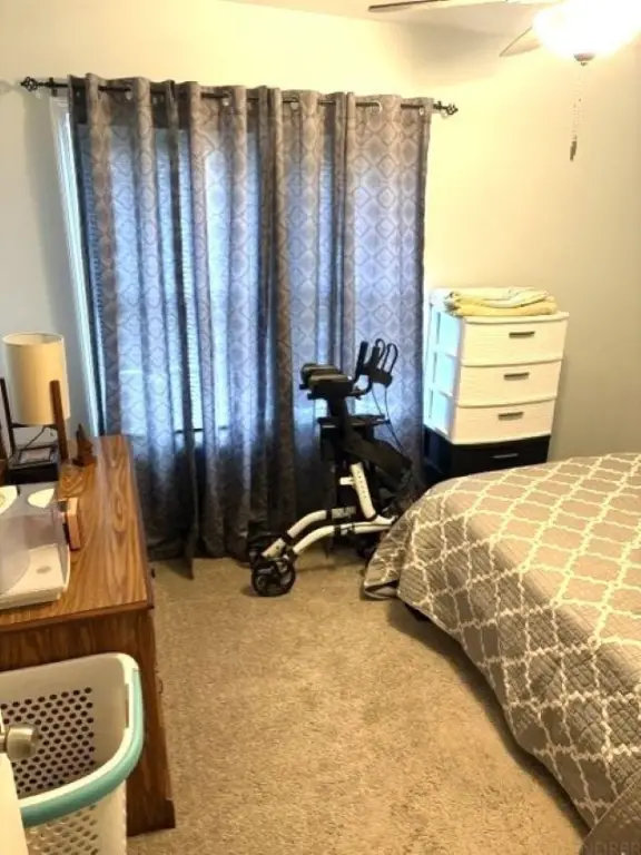 Picture 23